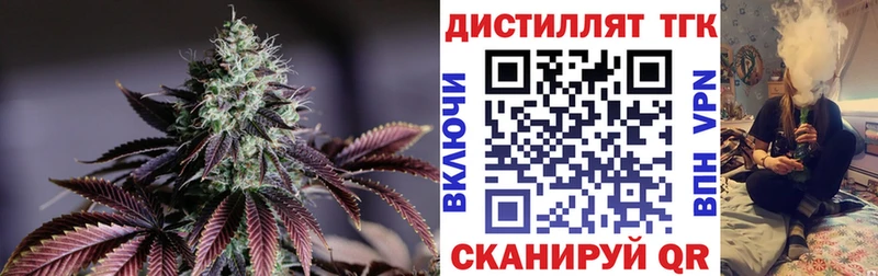 ТГК THC oil  Купить  Шали 