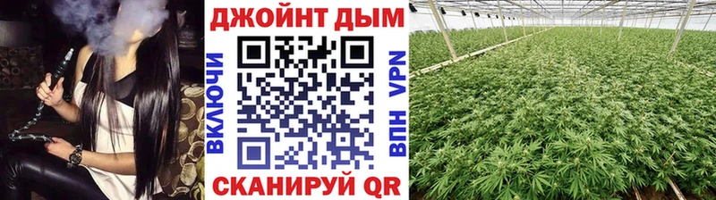 Марихуана сатива  Купить где  Шали 